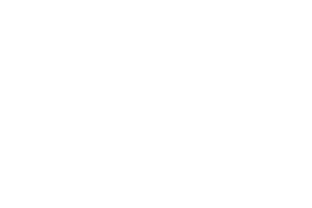 VPM